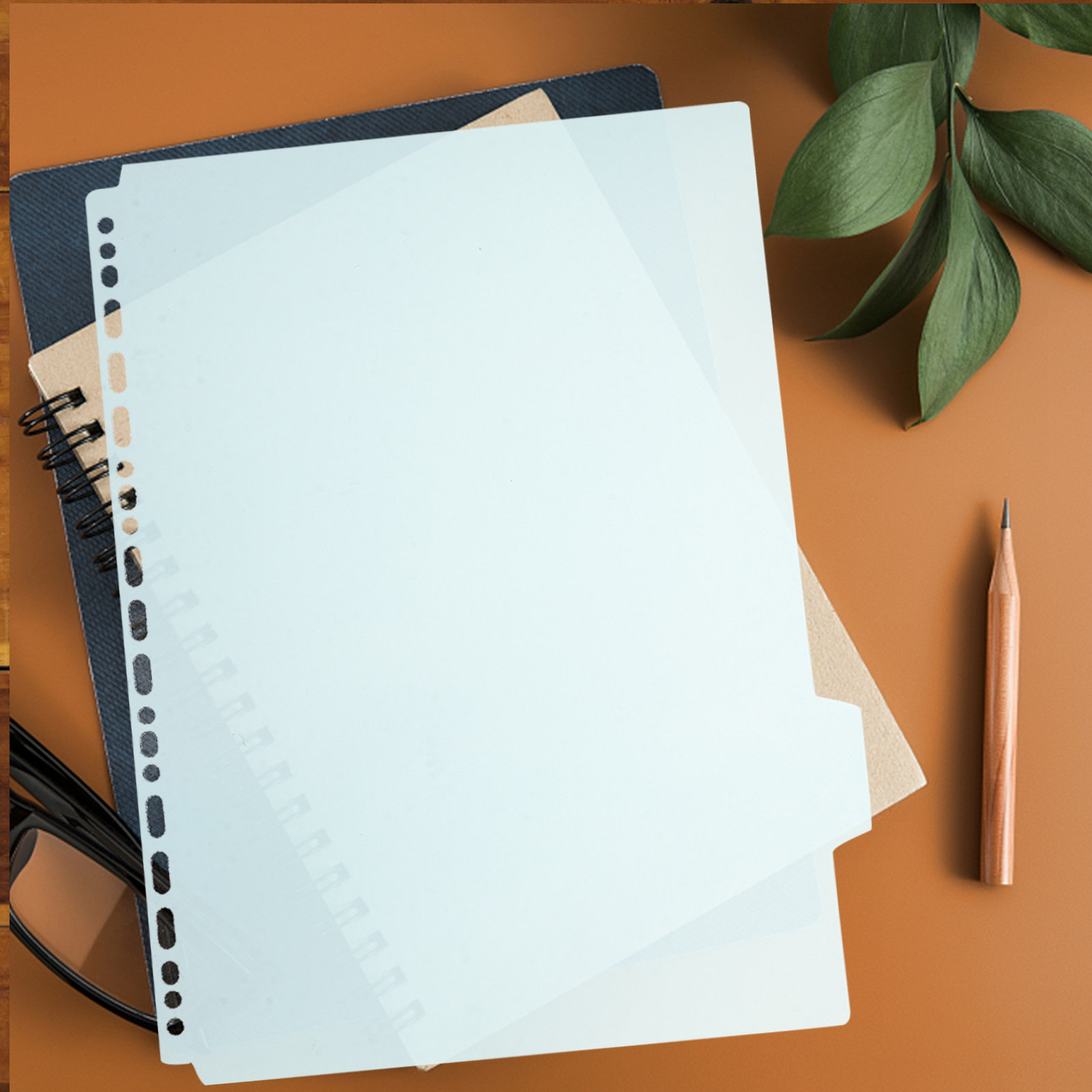 6Pcs Plastic Tabbed Binder Div - Tab Divider A4 评论和价格